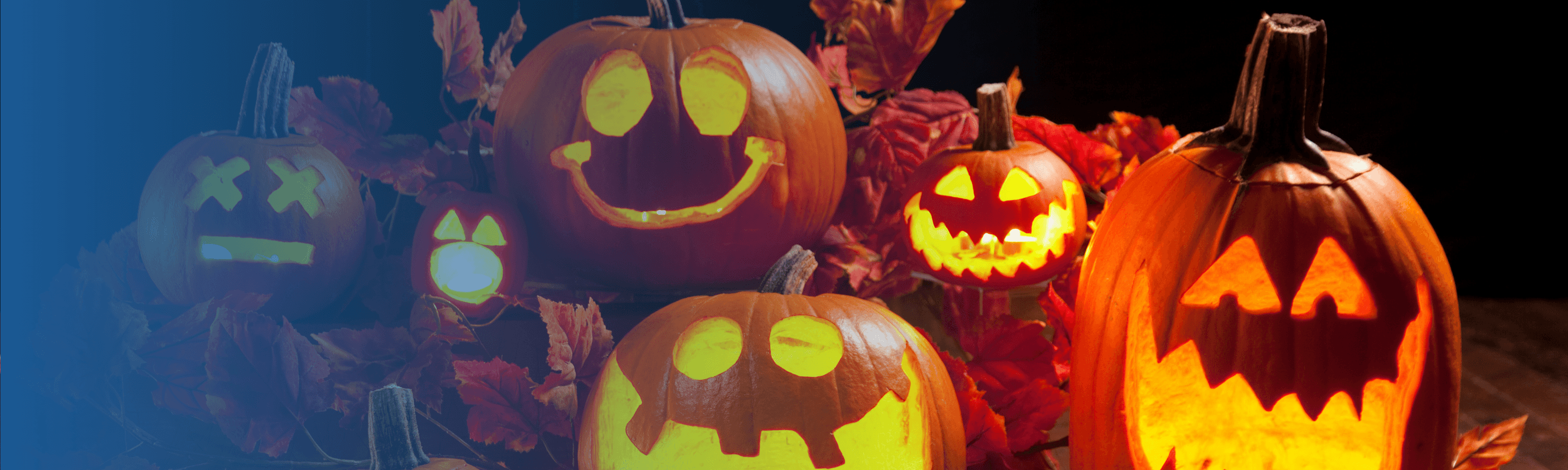A group of creatively carved jack-o'-lanterns with various expressions, surrounded by colorful autumn leaves against a dark background.