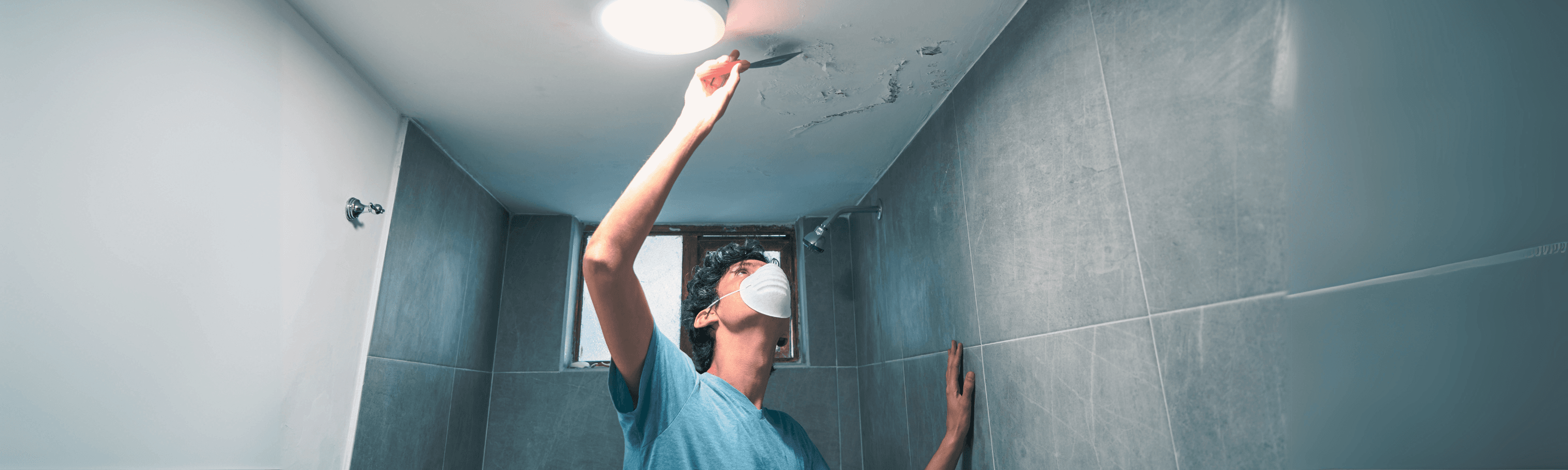 How to Check for Mold in Your House