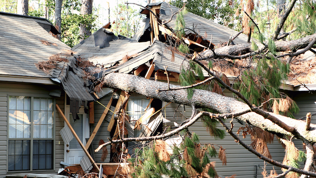 House and trees damaged by hurricane