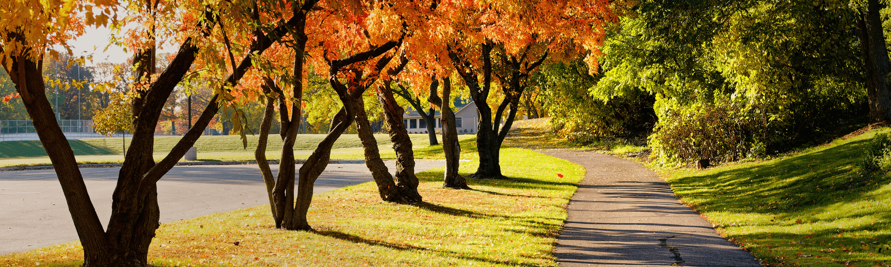 Prepare Your Home for Fall with This Fall Home Maintenance Checklist