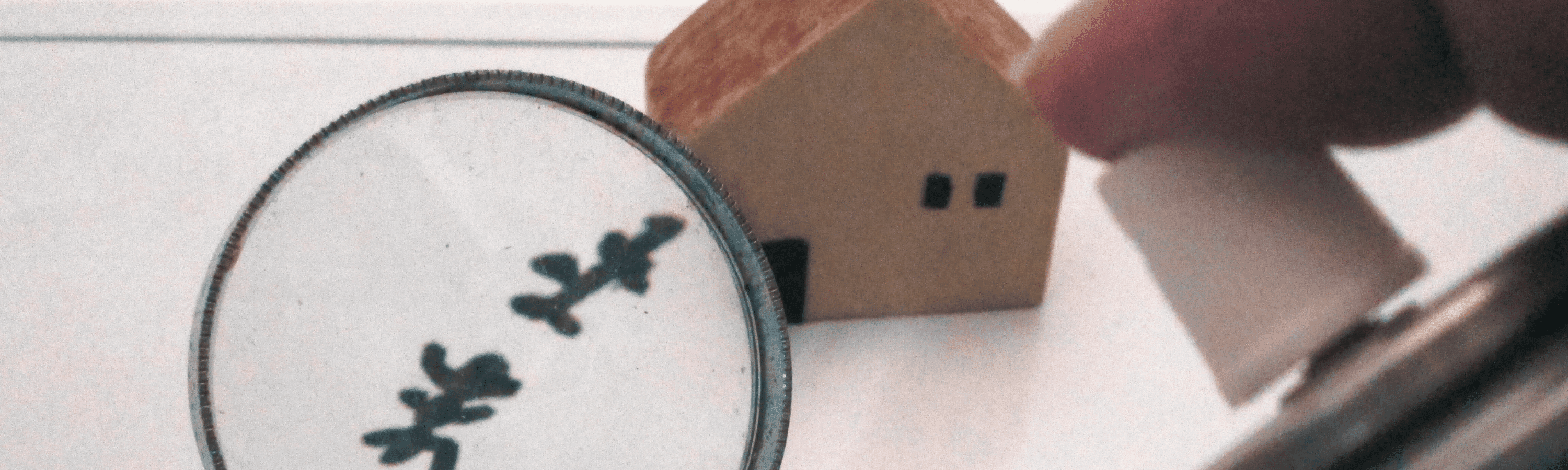 Wood Destroying Insects (WDIs): Inspection, Prevention, and Treatment