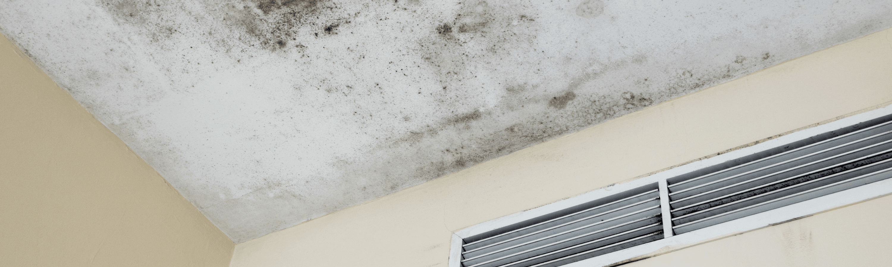 A moldy ceiling corner meets a beige wall with a ventilation vent, highlighting signs of water damage.