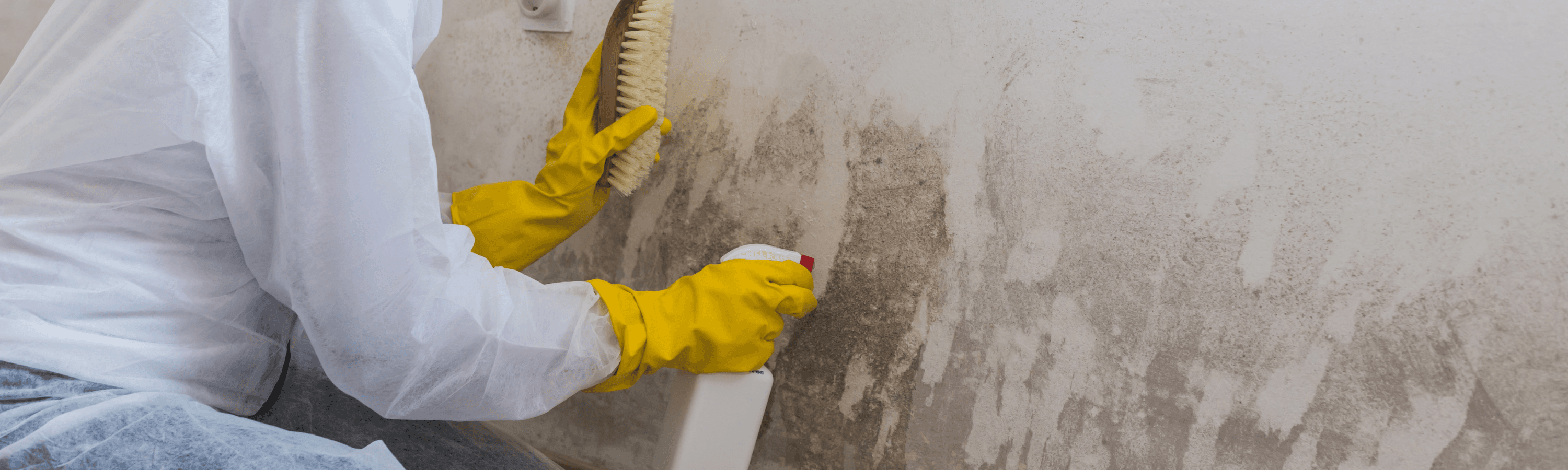 A person in protective gear scrubs a damp, moldy wall with a brush, holding a cleaning solution in their other hand.