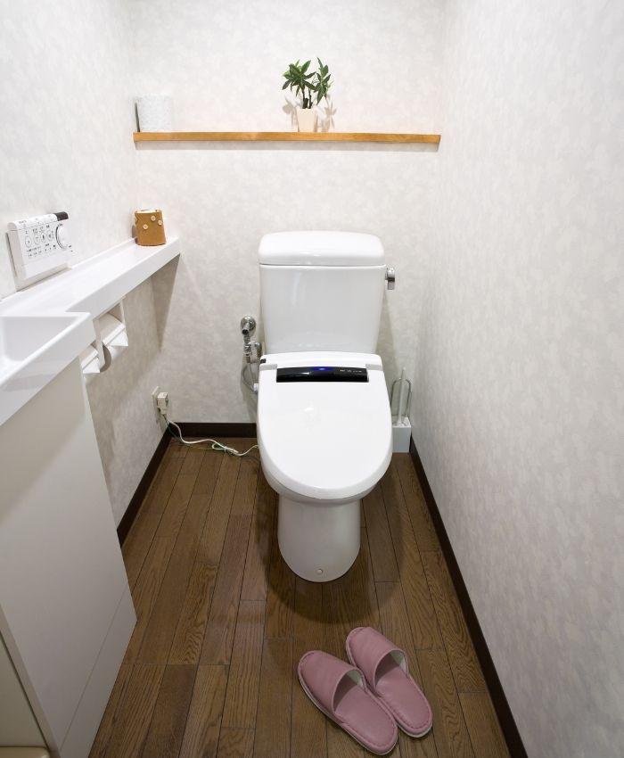 A toilet and toilet slippers in a bathroom