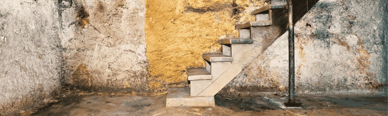 Hiding in the Basement (and Other Small Spaces) - Mold Part 2