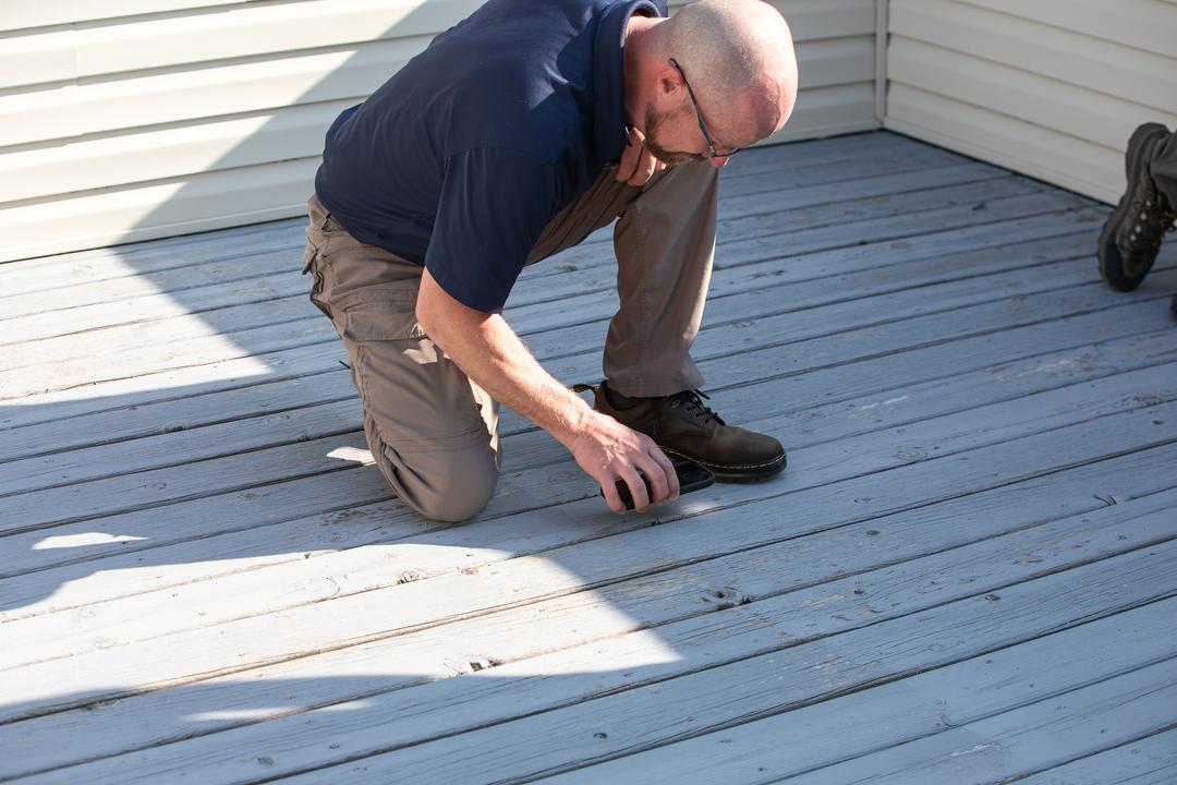 WDO/WDI (Pest) Inspection by WIN Home Inspector