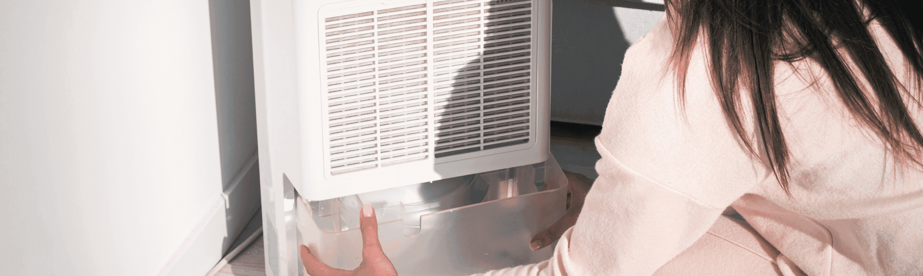 Woman Changing Water Container in Air Dryer, Dehumidifier