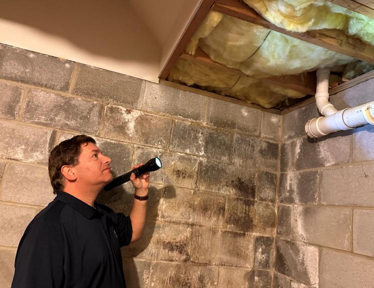 WIN Home Inspector doing a Pest Inspection