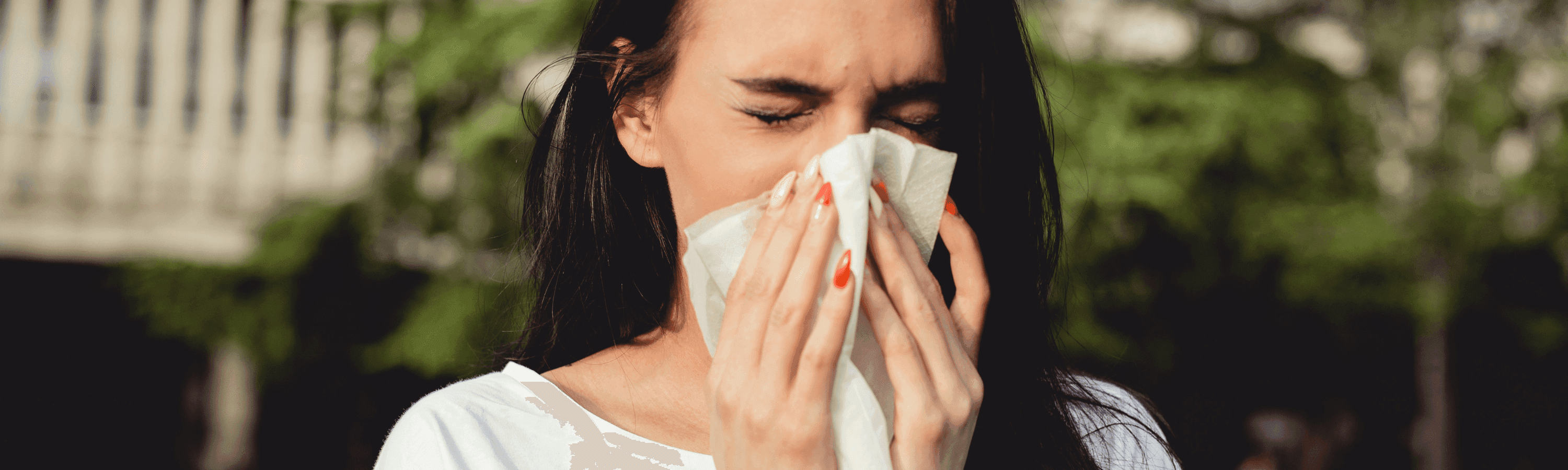 Comprehensive Spring Allergy Relief Guide