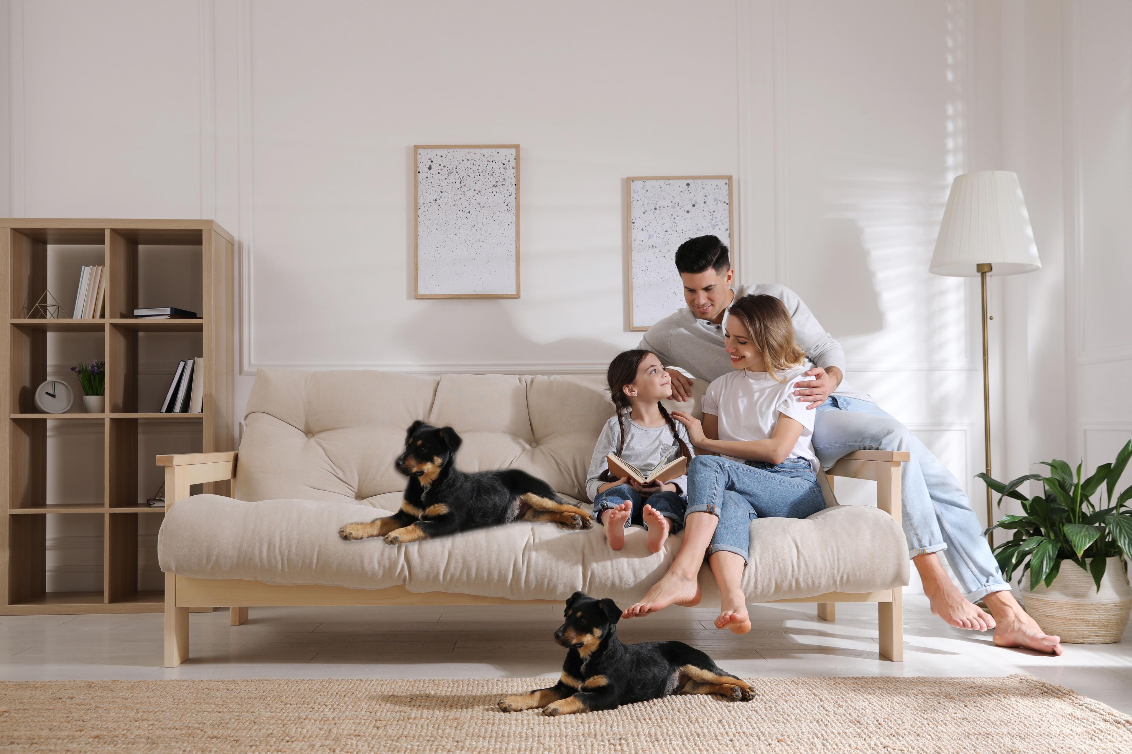 A family sitting on a couch with dogs