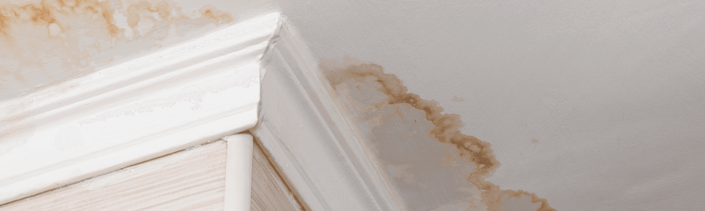 How to Spot Signs of Water Damage in Your Home
