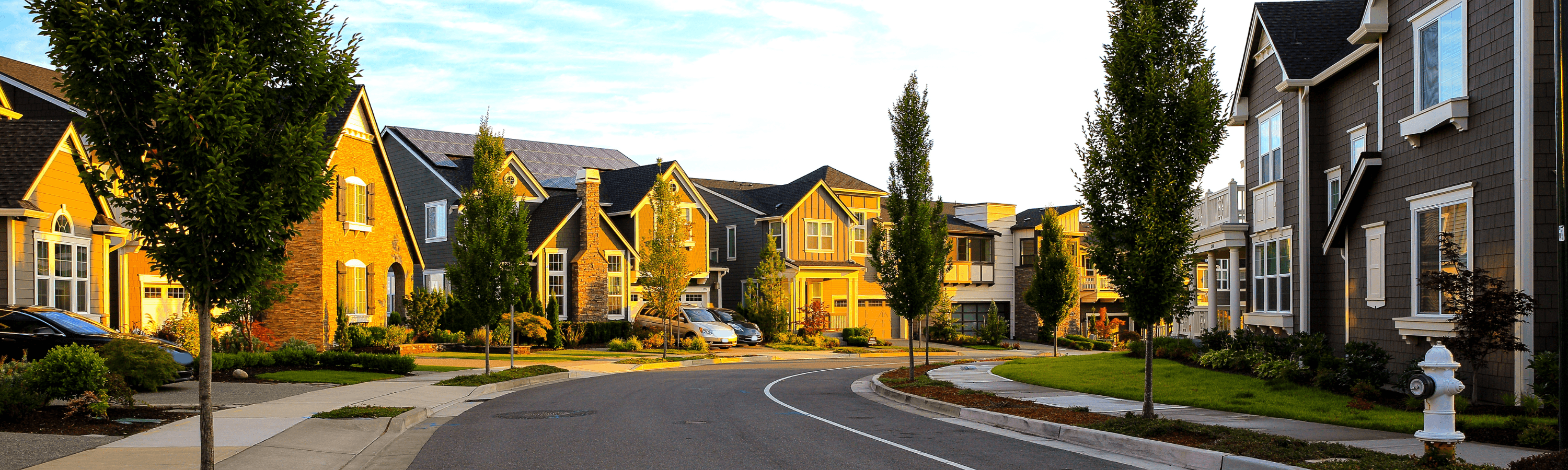 A picturesque suburban street lined with modern homes and neatly trimmed trees.
