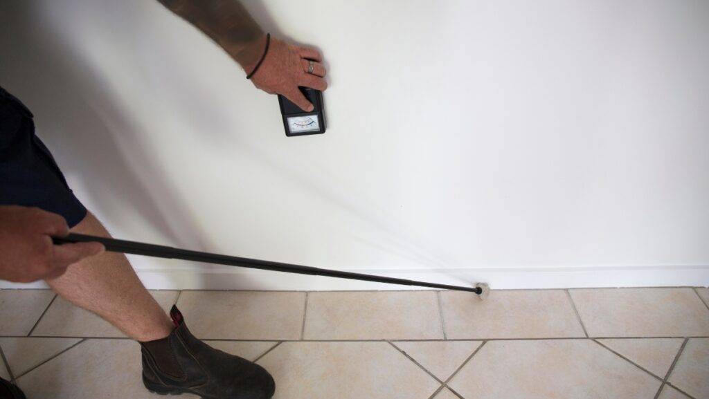 termite inspection at wall