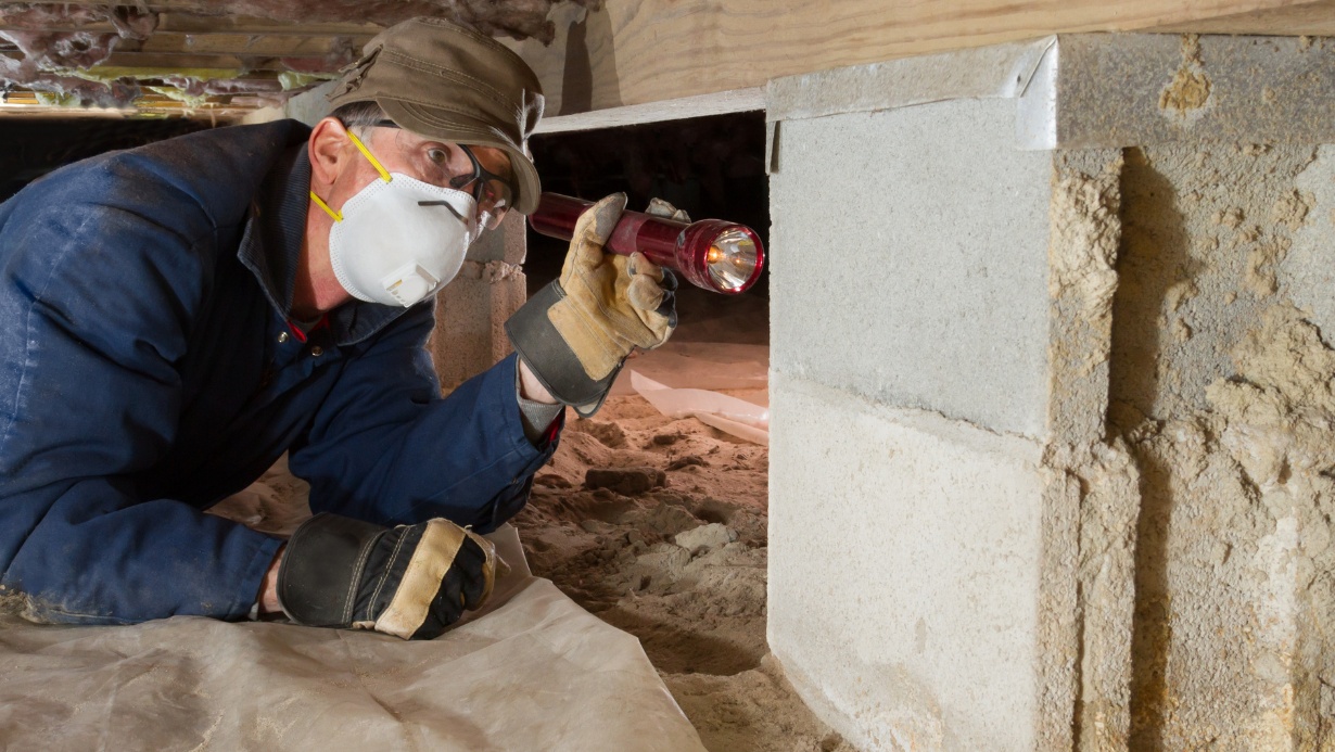 termite inspection