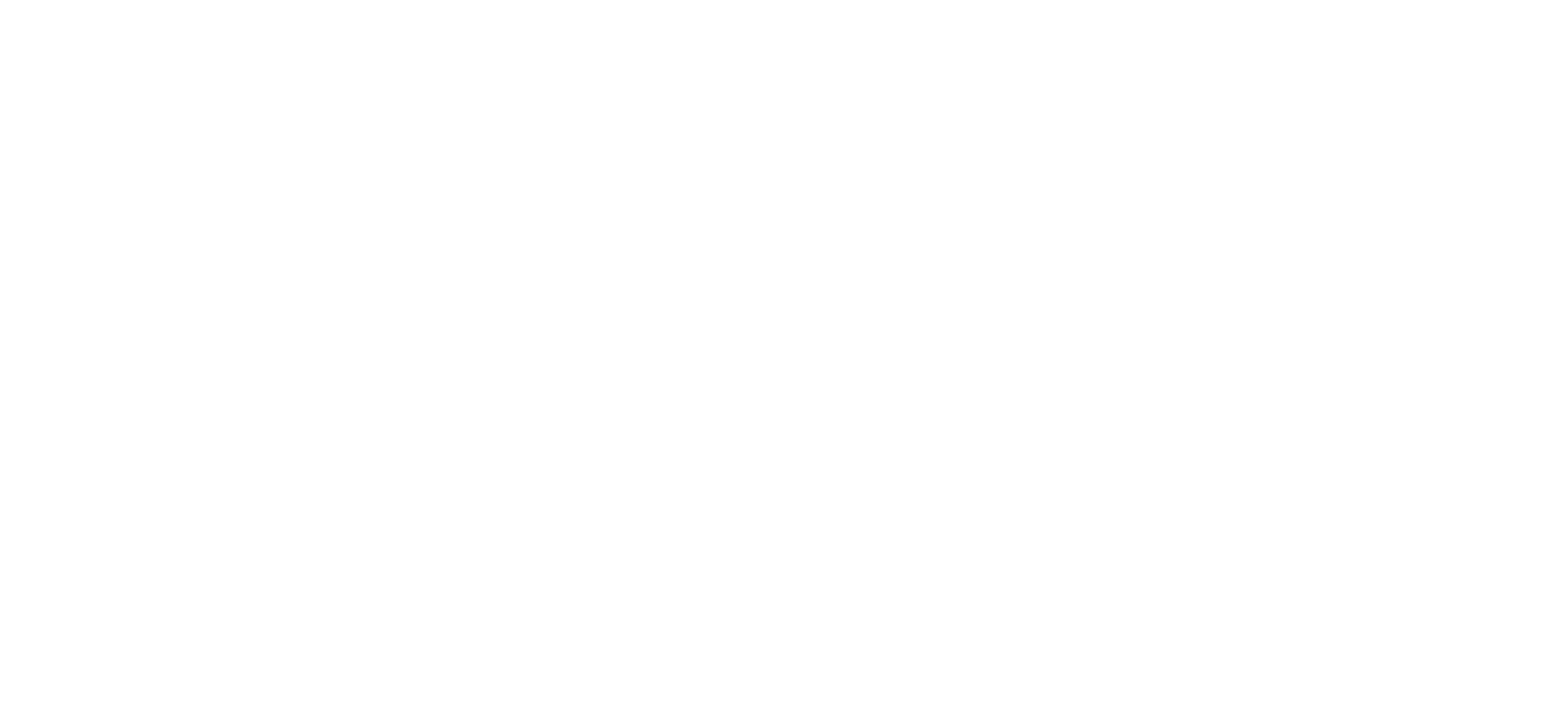 WIN logo (white)